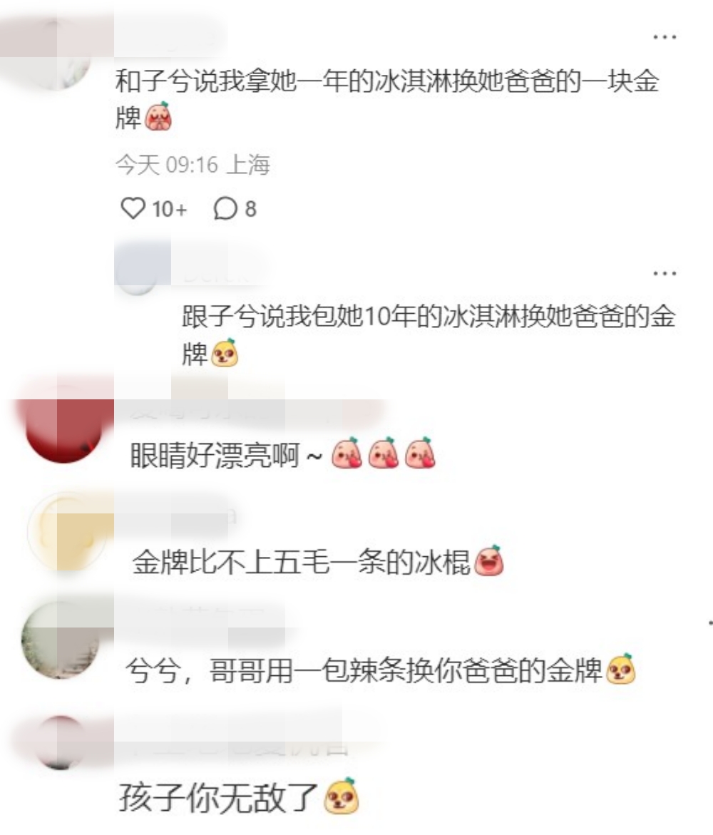 安赛龙