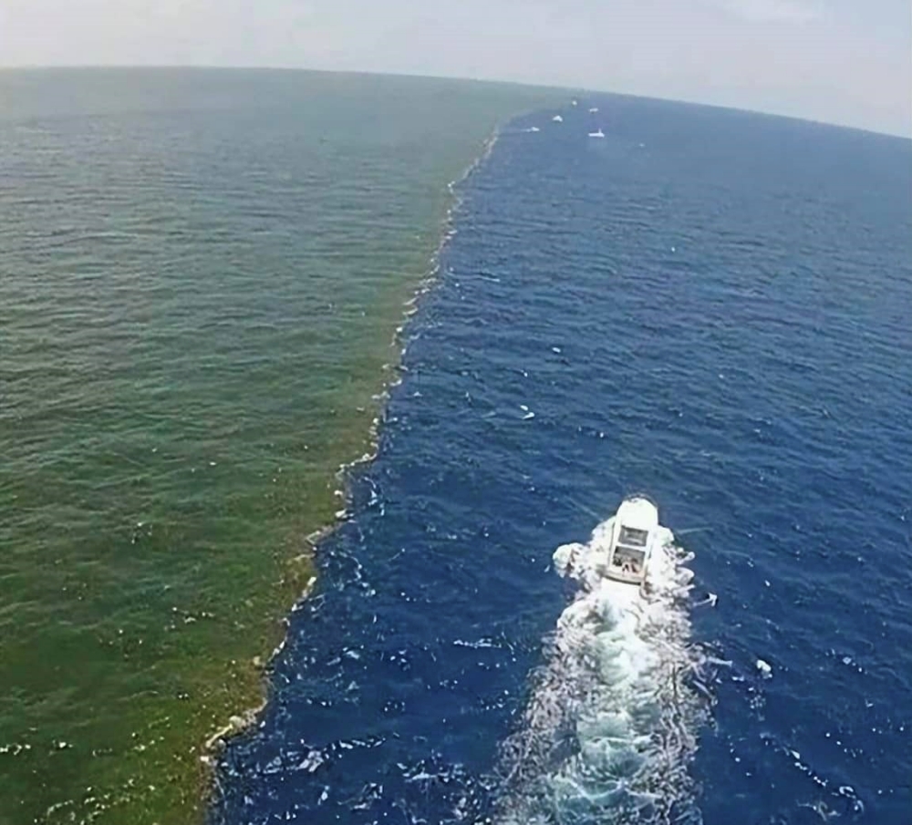 阿拉斯加海湾