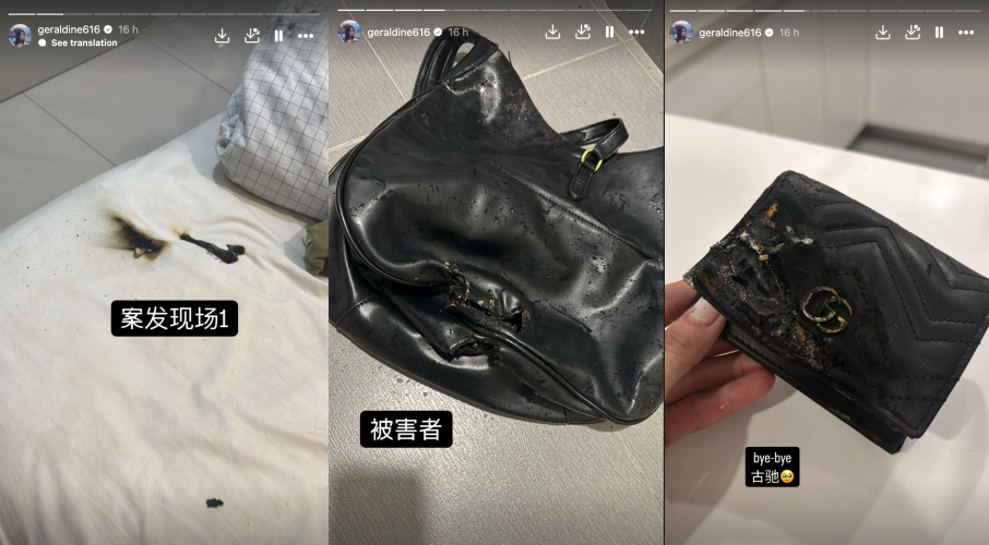 Geraldine Powerbank爆炸