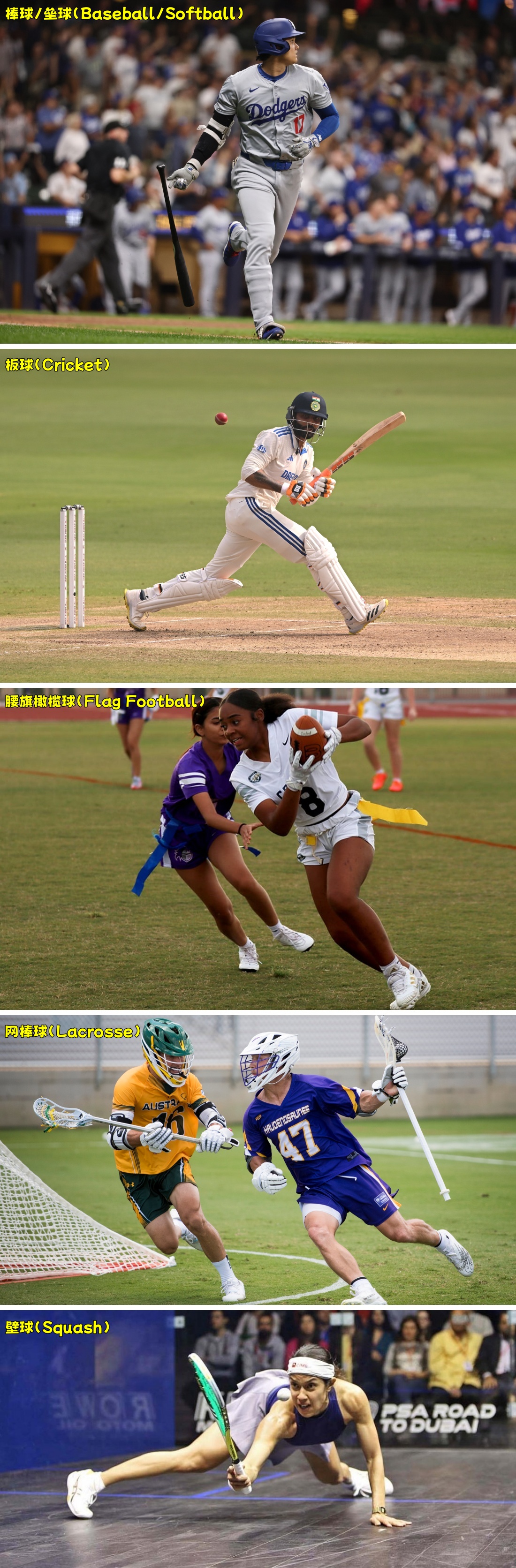 棒球/垒球（Baseball/Softball）、板球（Cricket）、腰旗橄榄球（Flag Football）、网棒球（Lacrosse）及壁球（Squash）