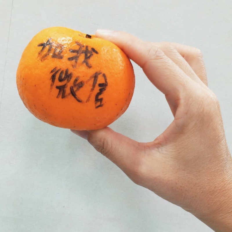 抛柑