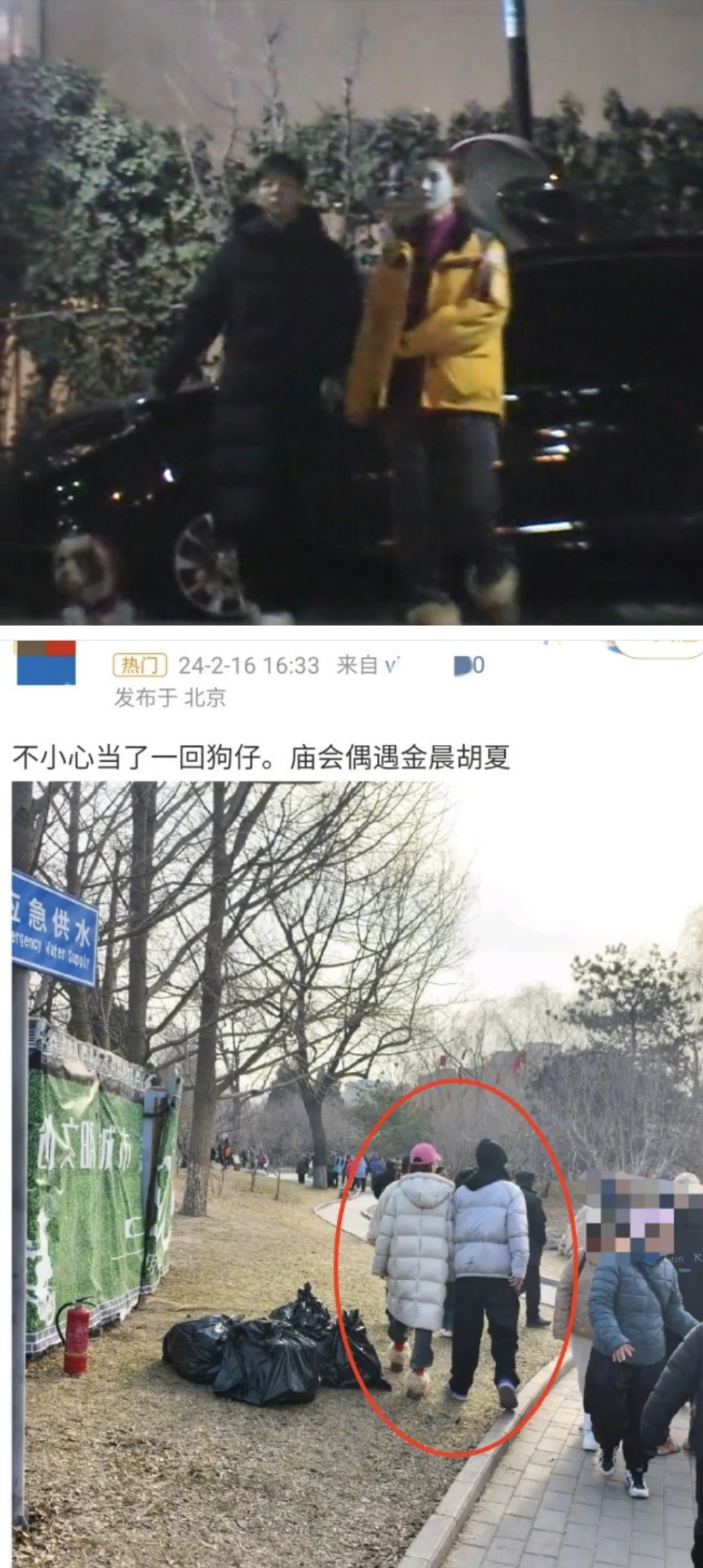 金晨 胡夏