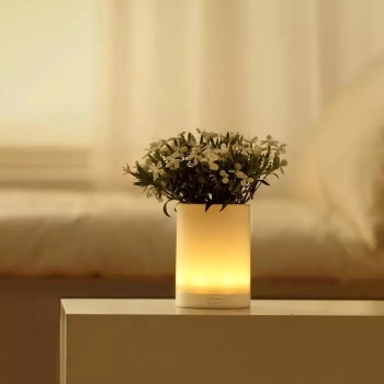 lamp with plant