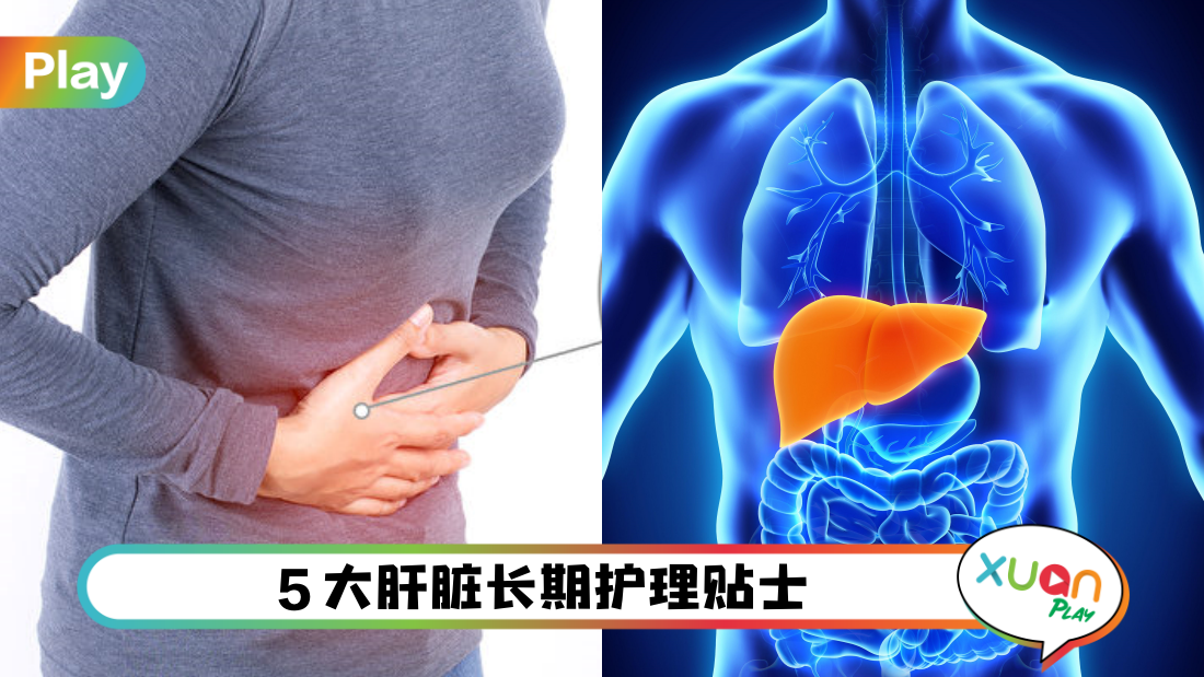 liver-cover.png