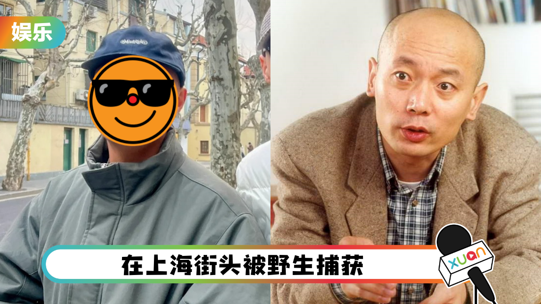 yuwenle-benghuai-cover.png