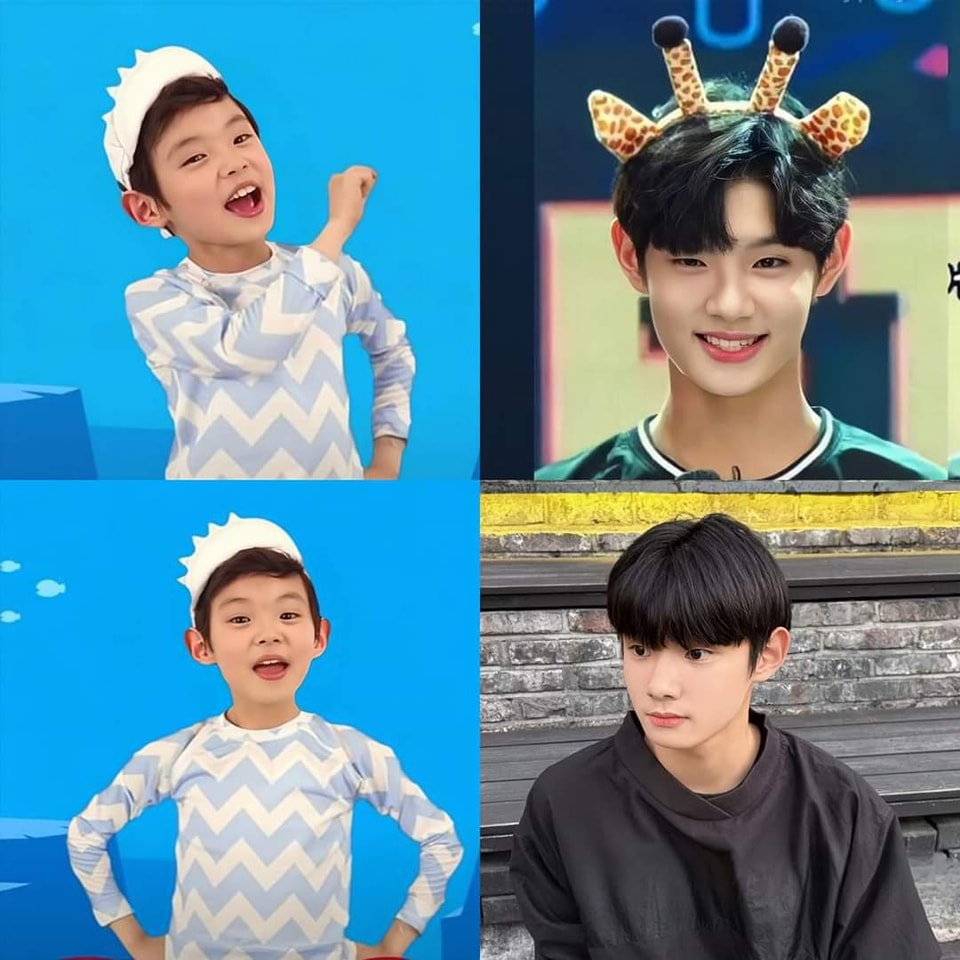 Baby Shark 小孩长大了