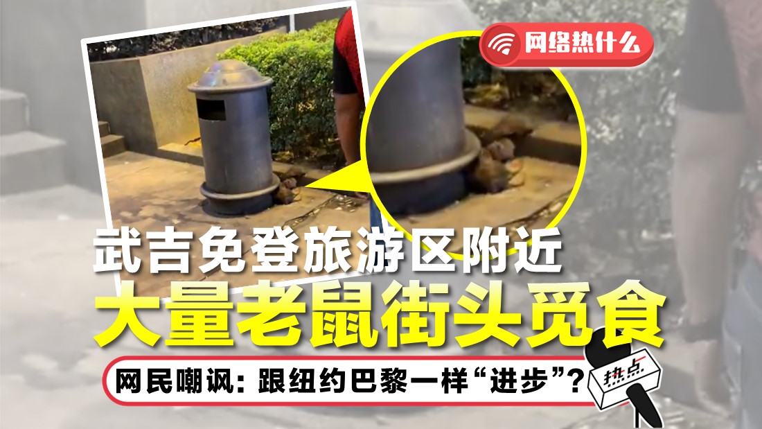 tikus.jpg