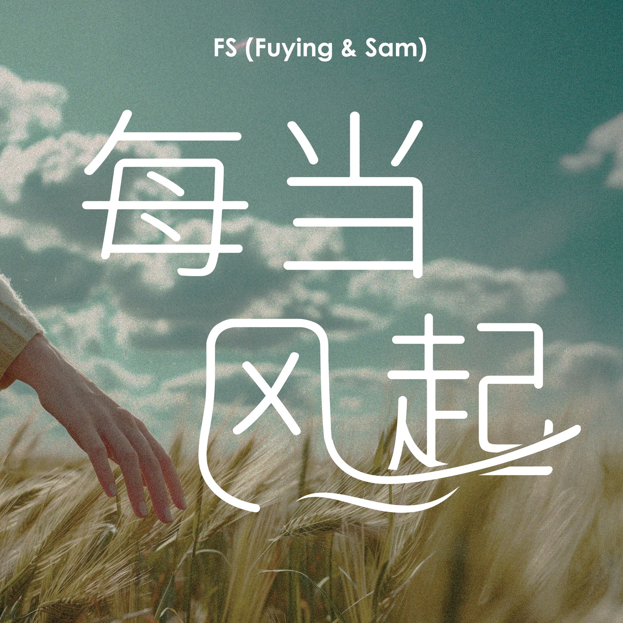 每当风起海报