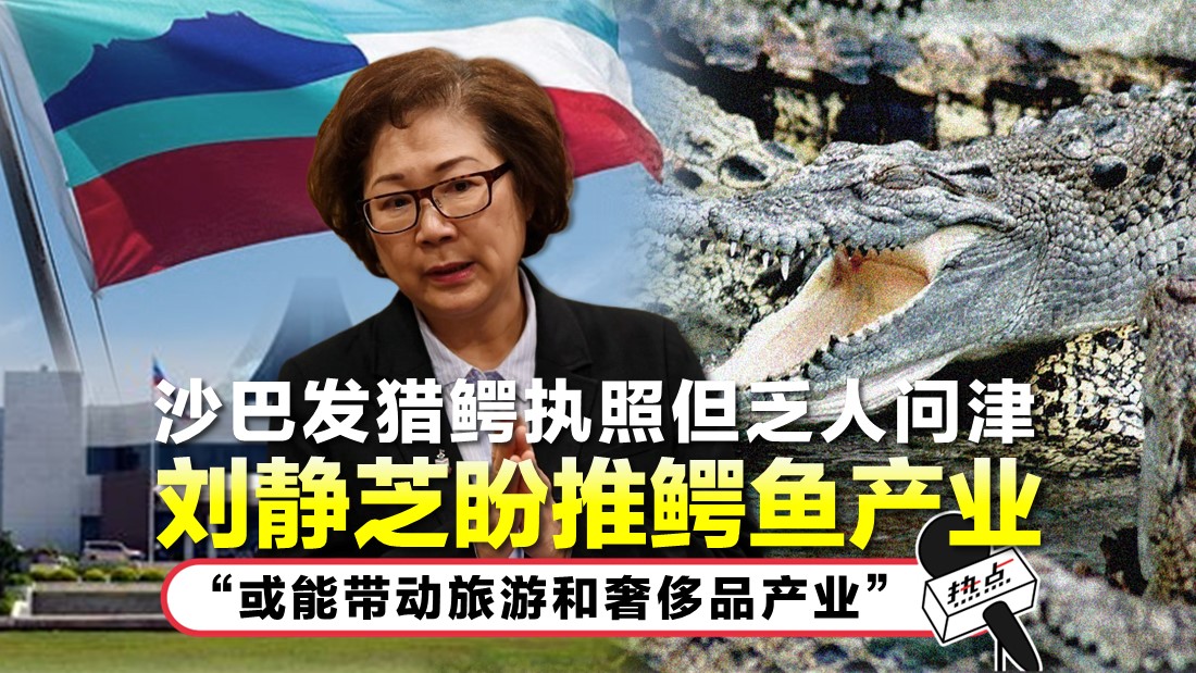 crocodile.jpg
