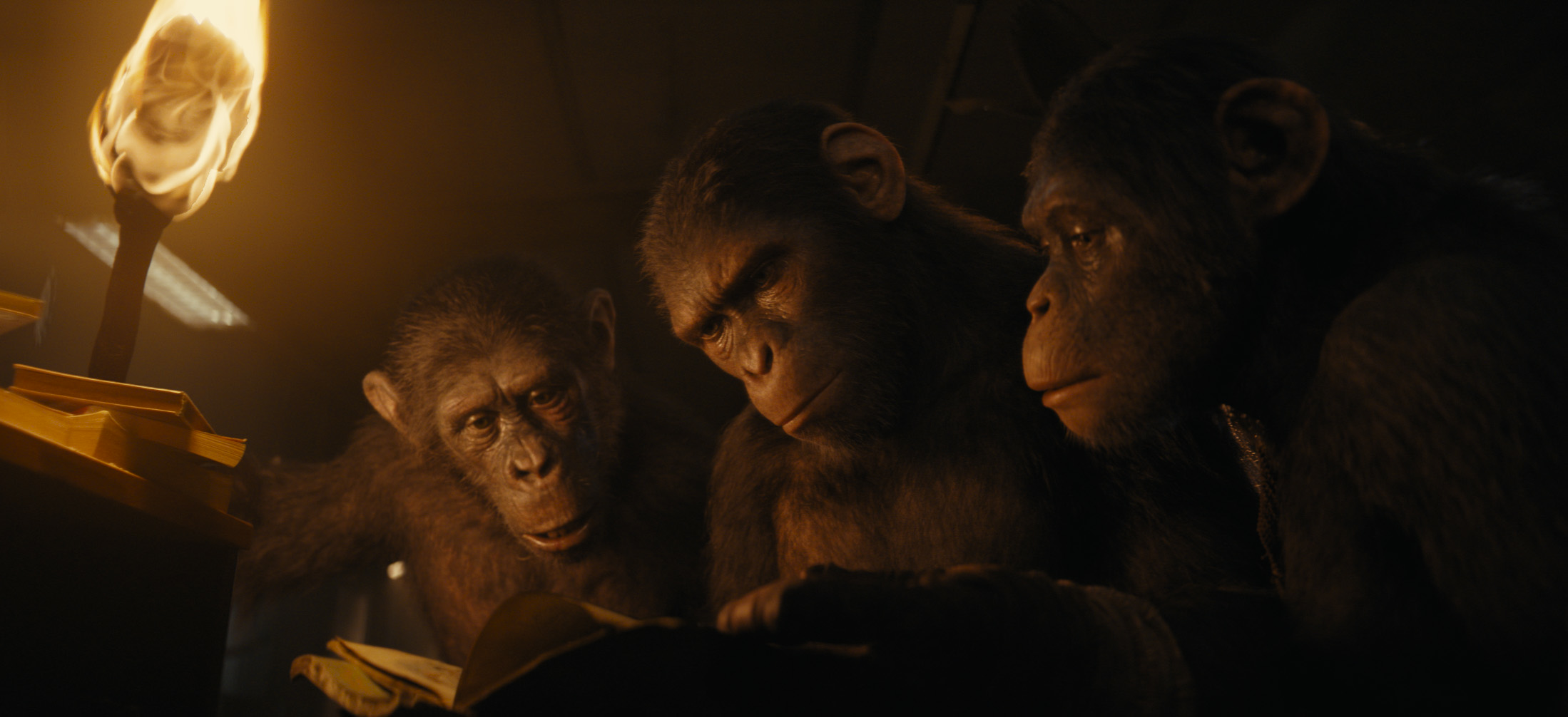 《Kingdom of the Planet of the Apes》影评