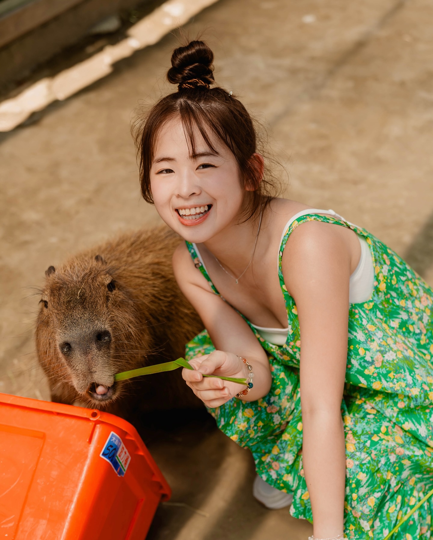 Soya许素瑄