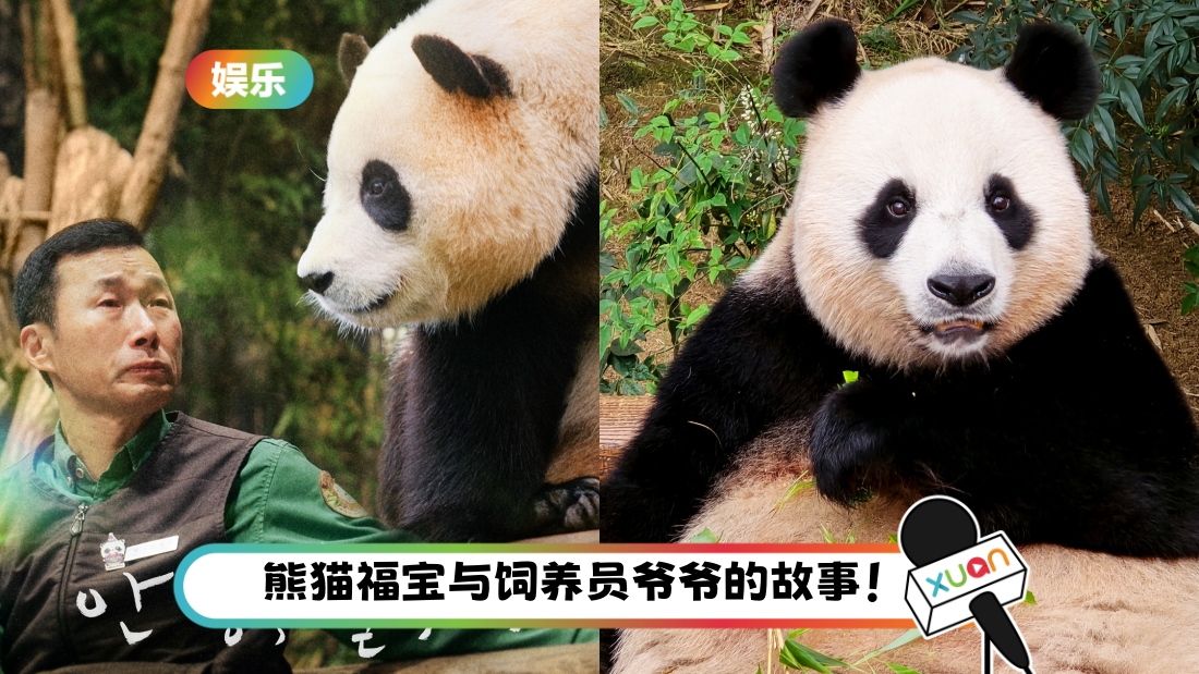 fubao-title.jpg