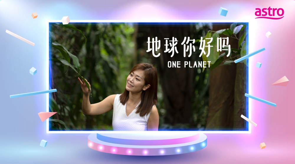 地球你好吗