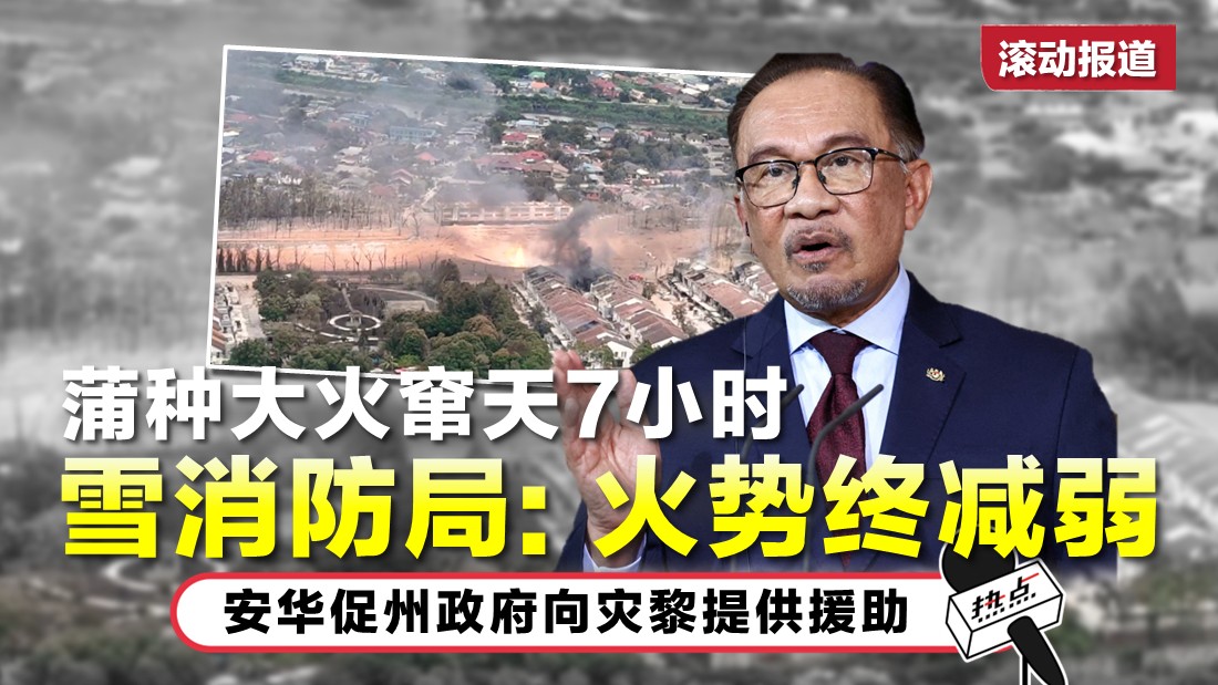 tn-anwar_92.jpg