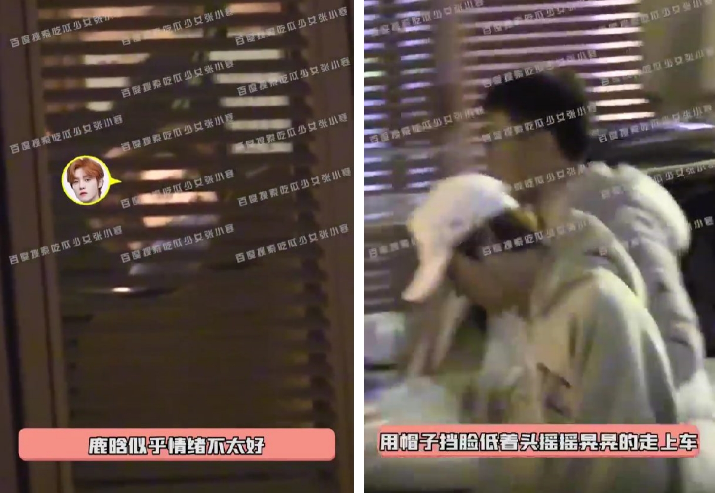 鹿晗