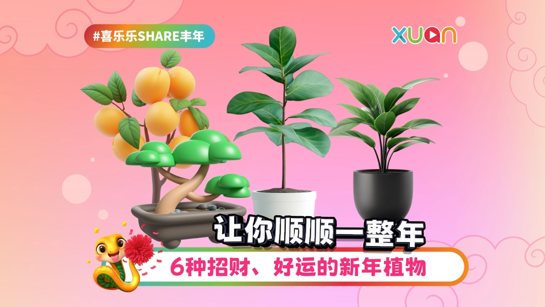 luckyplant-cover.jpg