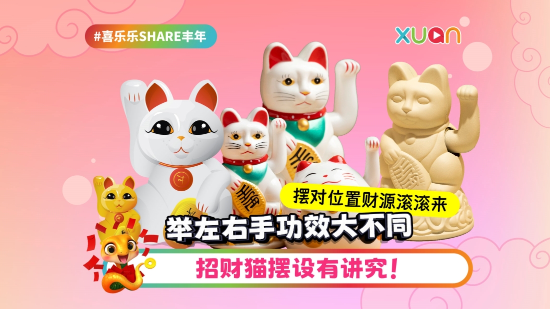 zhaocaimao-cover.jpg