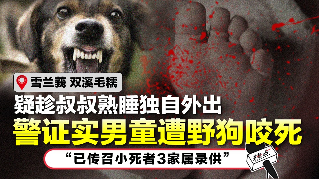 anjing-liar_1.jpg