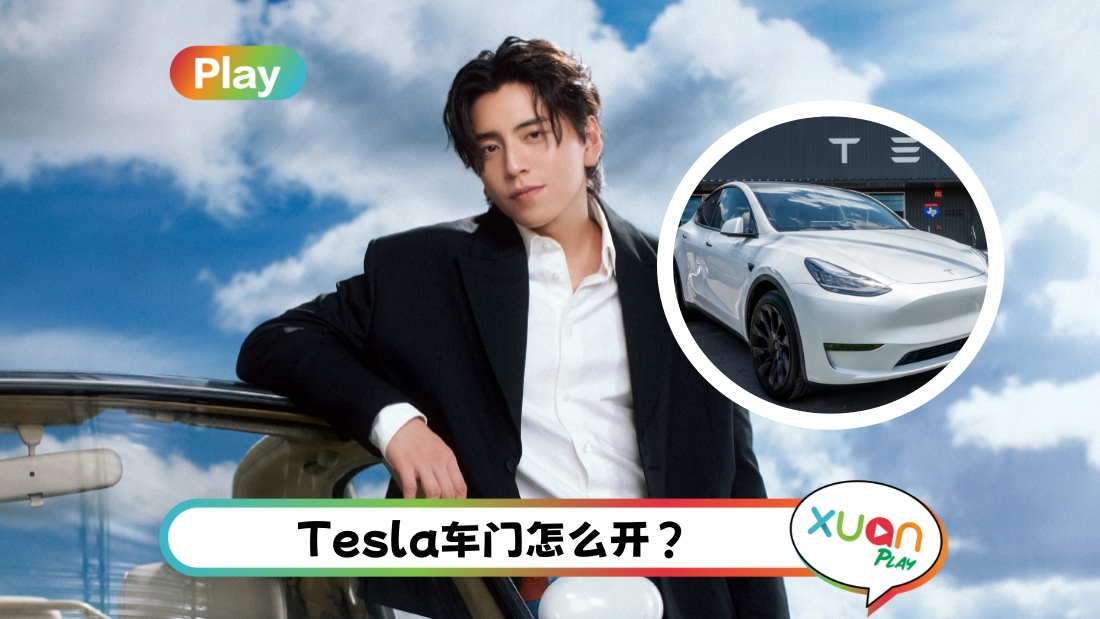 wangdalu-tesla-cover.jpg