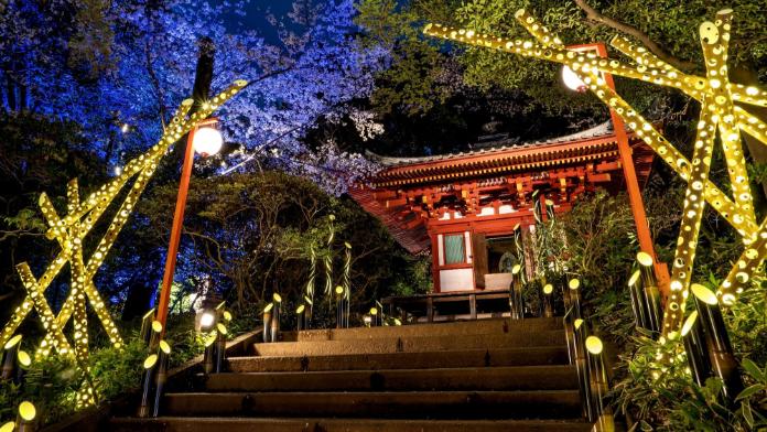 Japan Tokyo