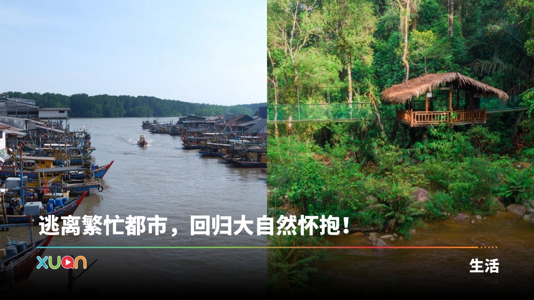xuan_nature.jpg