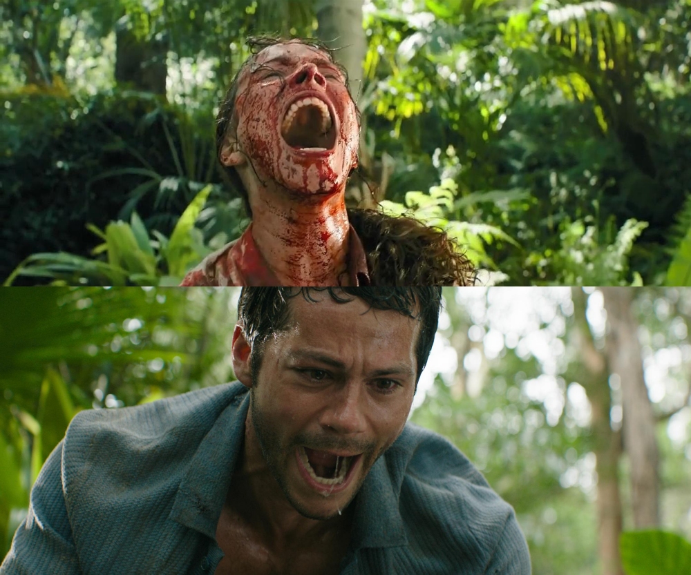 《Send Help》反转职场地位 