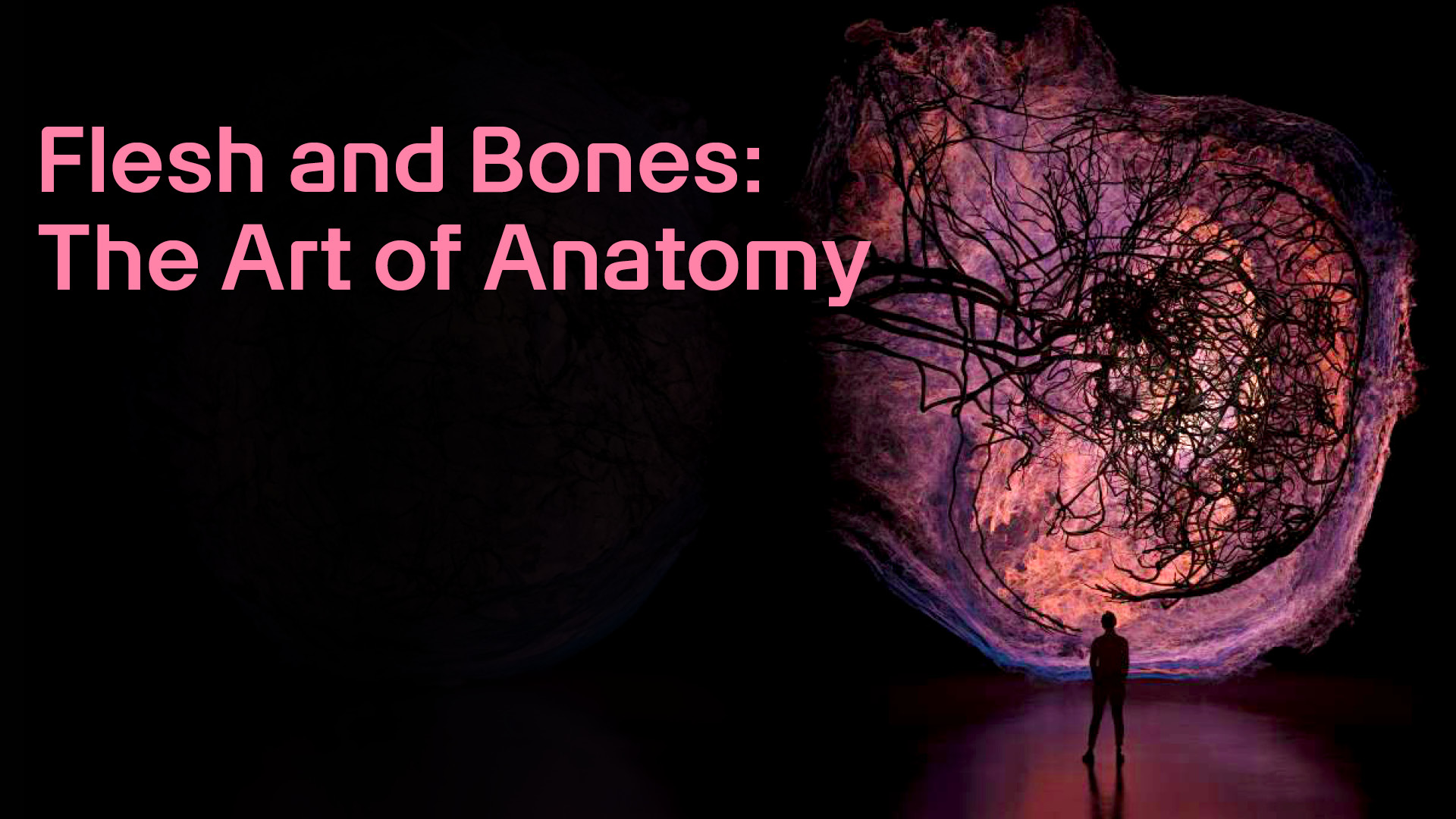 Flesh and Bones: The Art of Anatomy
