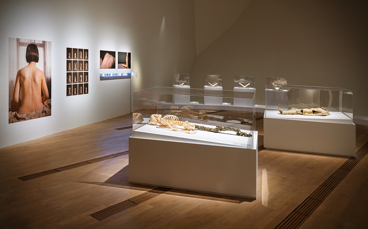 Flesh and Bones: The Art of Anatomy