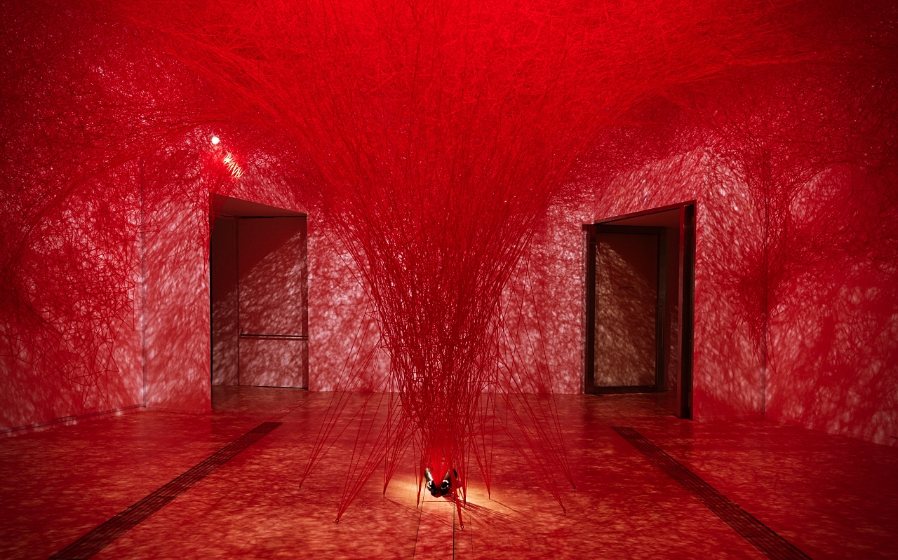 Flesh and Bones: The Art of Anatomy