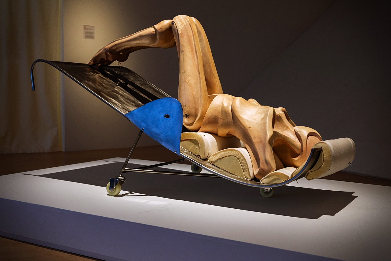 Flesh and Bones: The Art of Anatomy