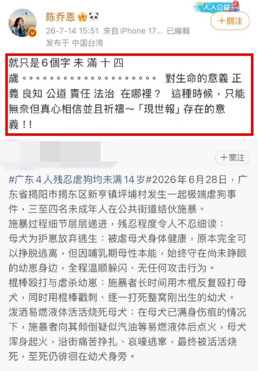 陈乔恩