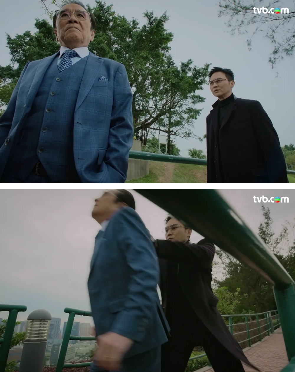 张智霖