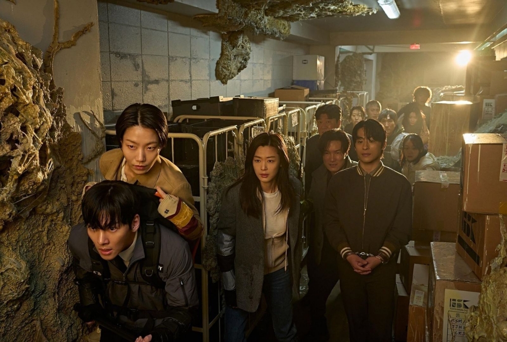 Colony