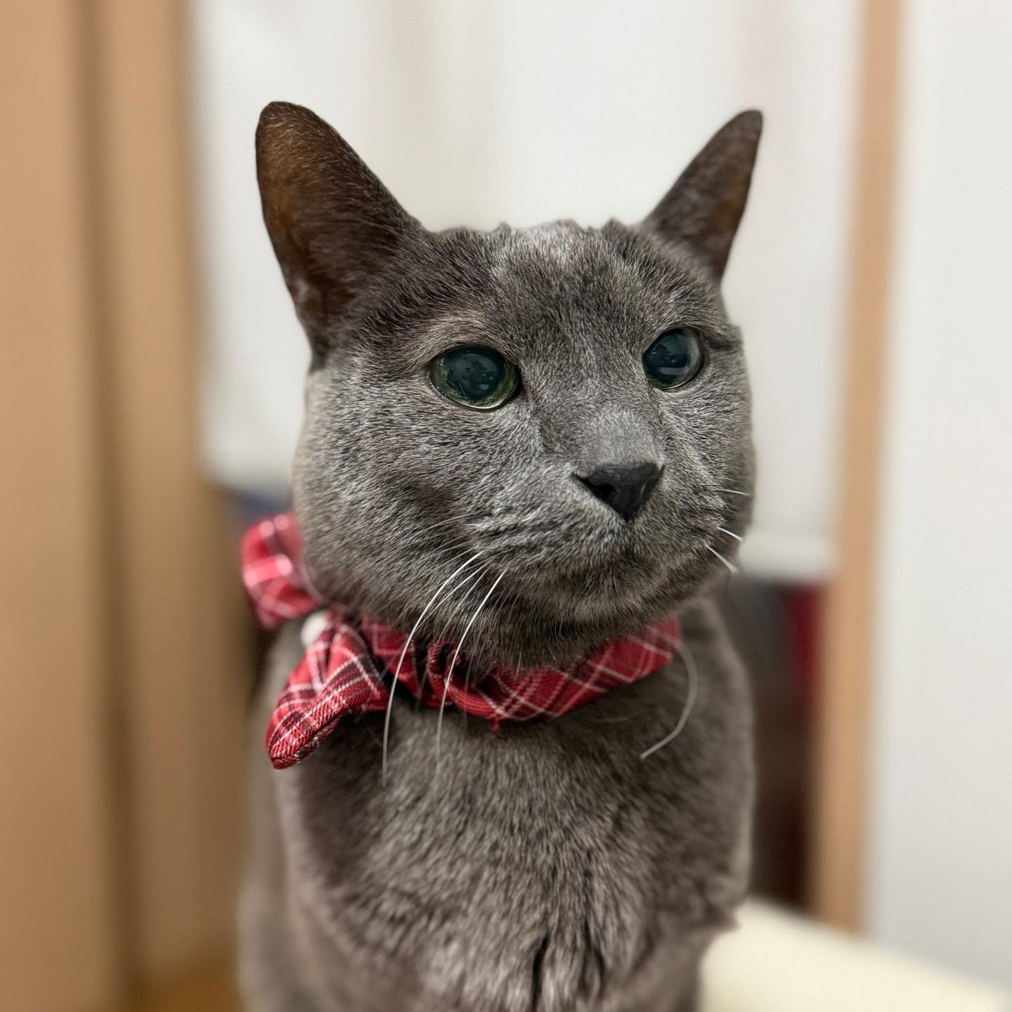 金希澈