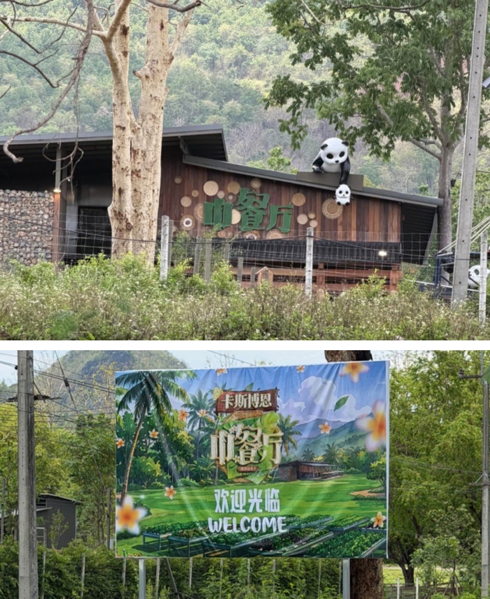 中餐厅10