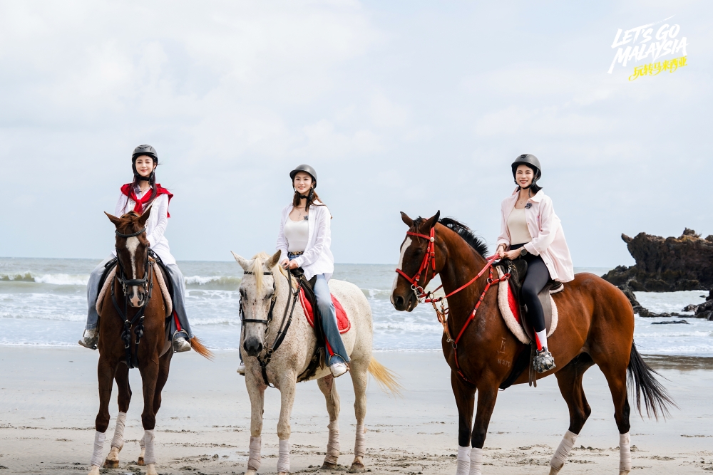 Let’s Go Malaysia 玩转马来西亚