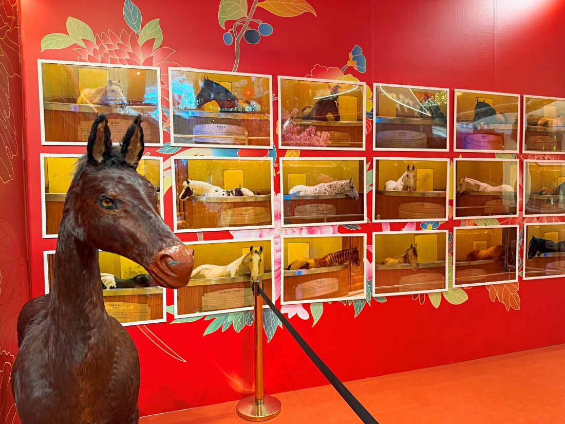 Pavilion Damansara Heights