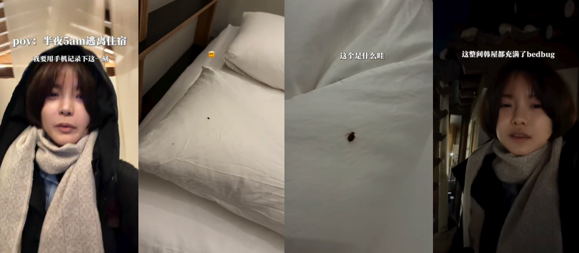 彤彤韩国旅行大踩雷！