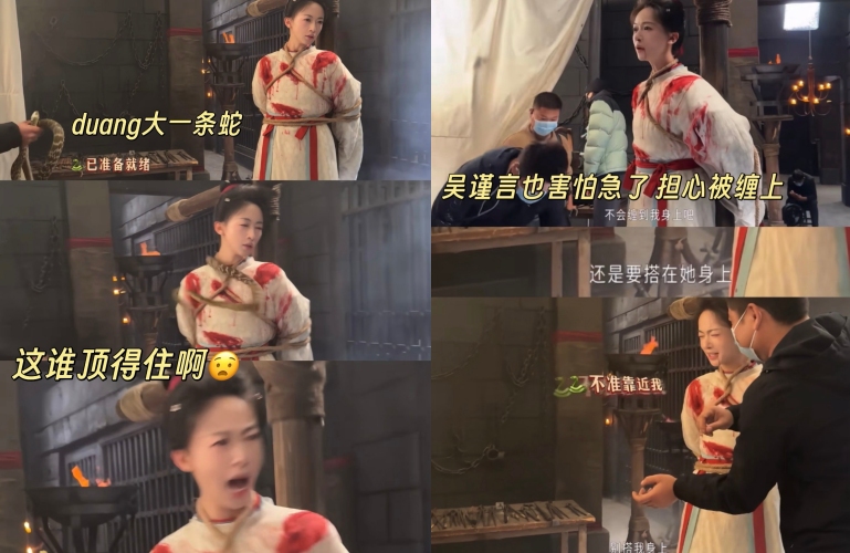 吴谨言拍新剧被丢真蛇!
